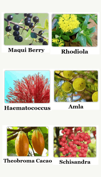 Mitolyn  - Ingredients